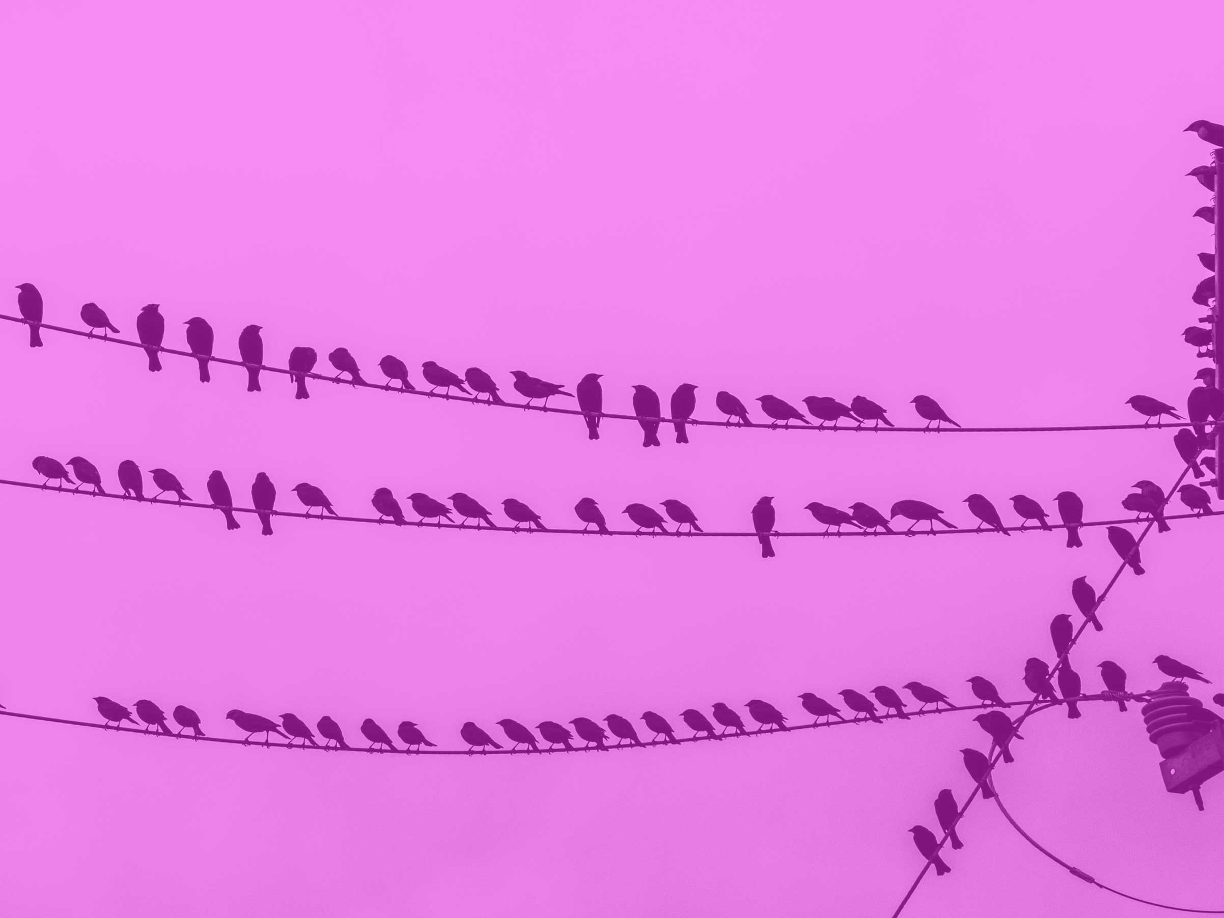 Idling Next to the Network