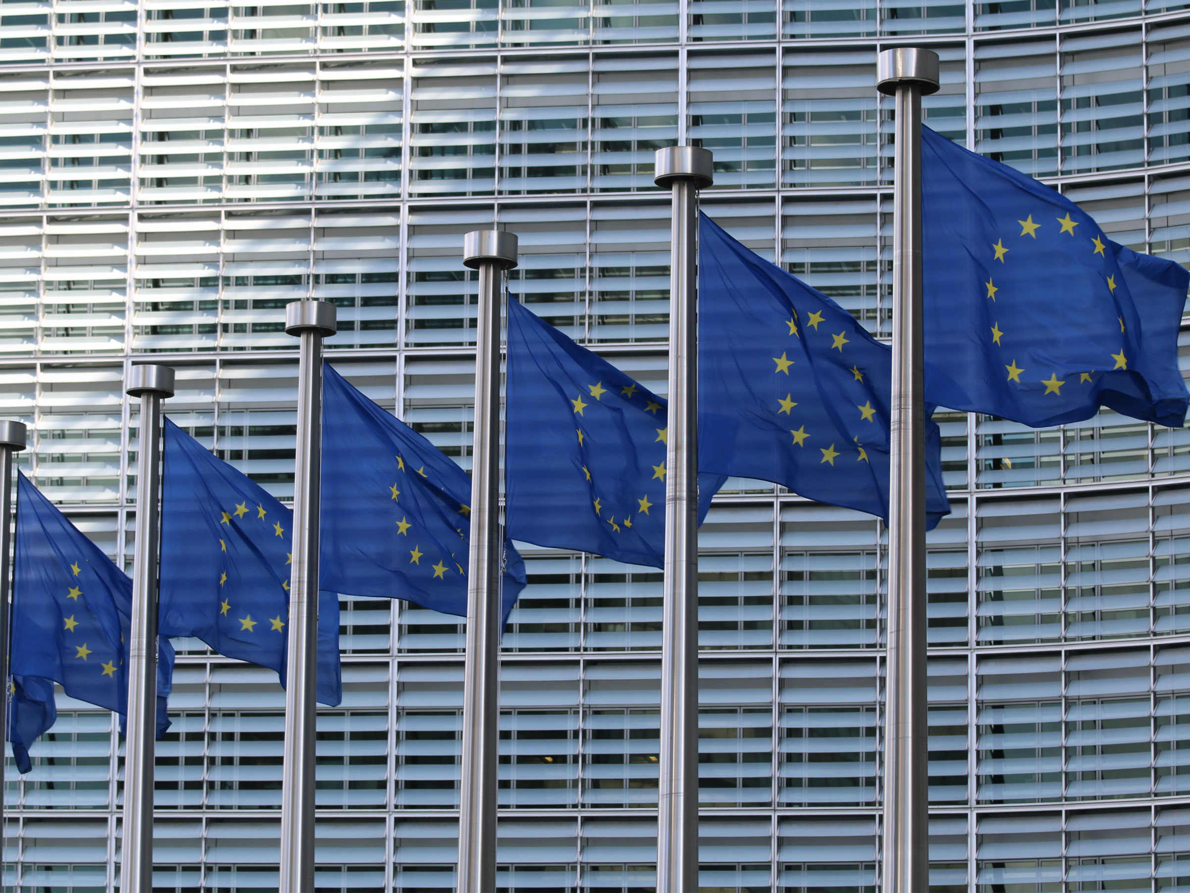 A Possible Biden Agenda for Europe