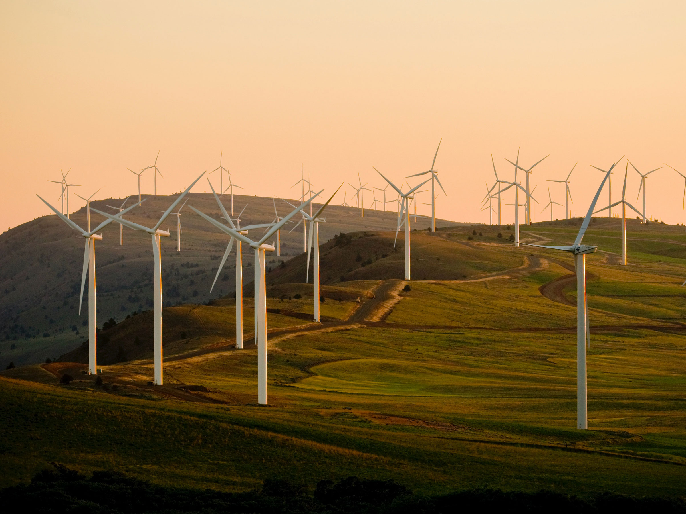 Unpacking Biden’s Environmental Agenda – a Conversation with Todd Stern