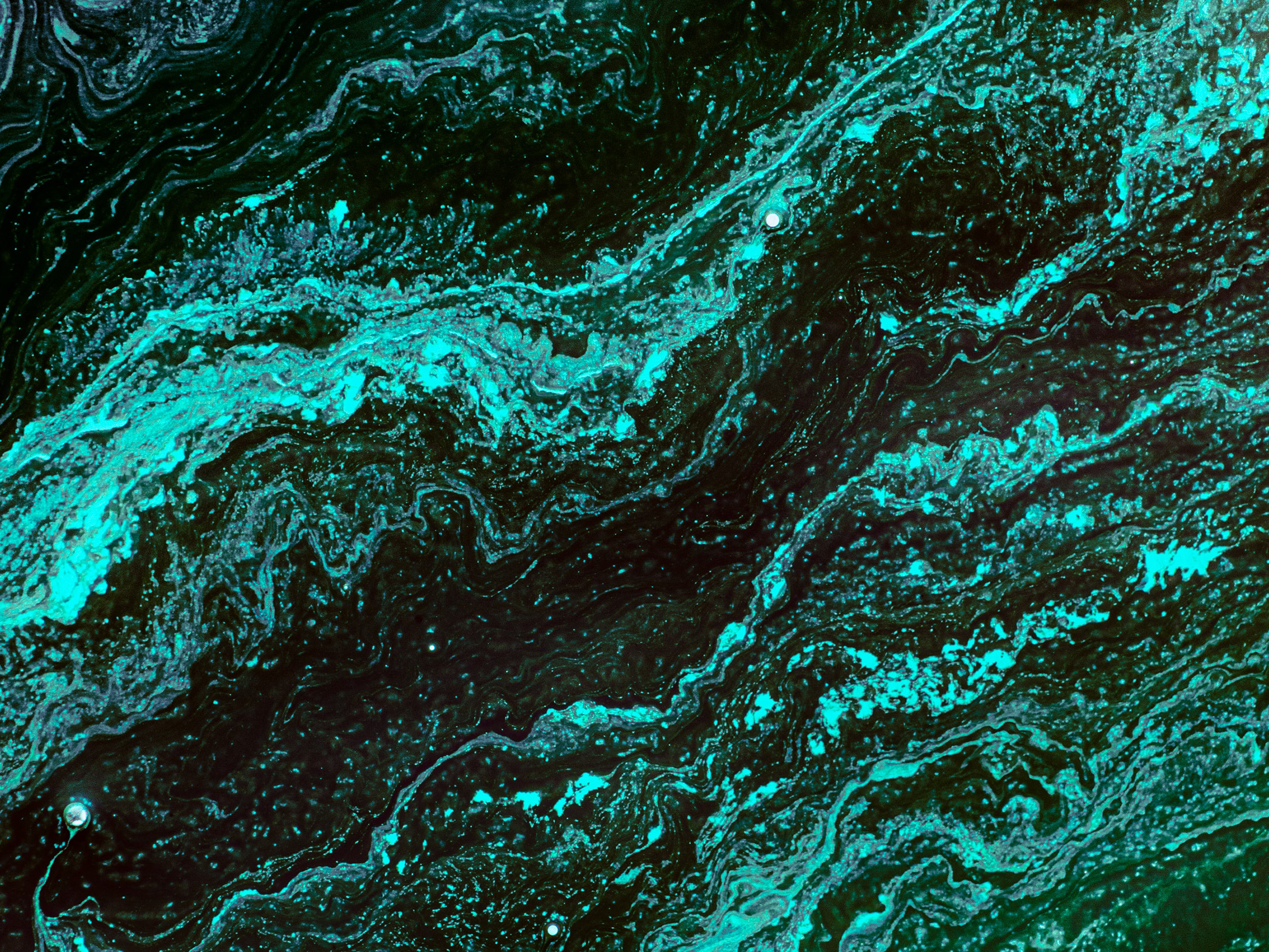 Music and the Anthropocene