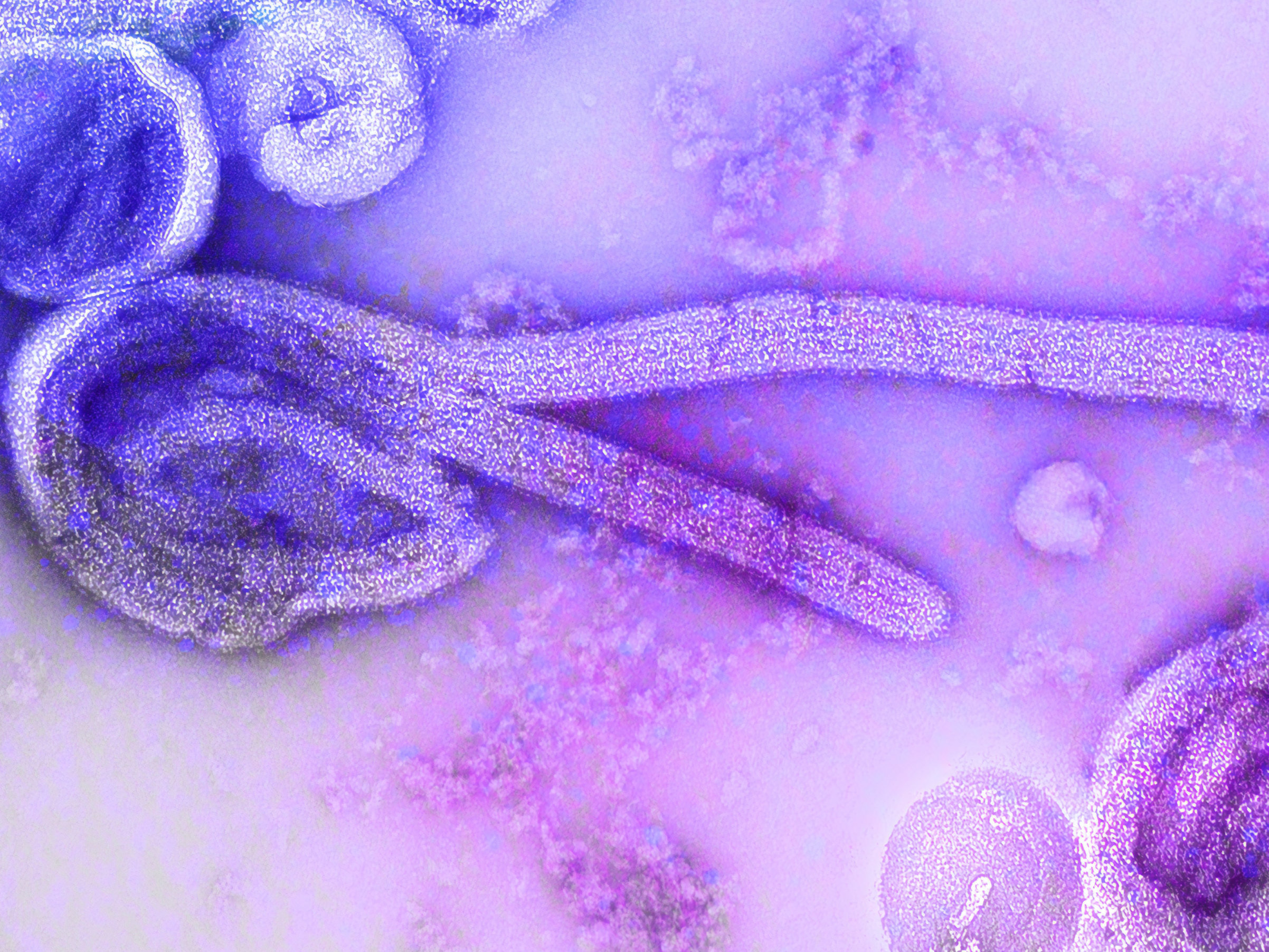 Confronting the Threats of Antimicrobial Resistance