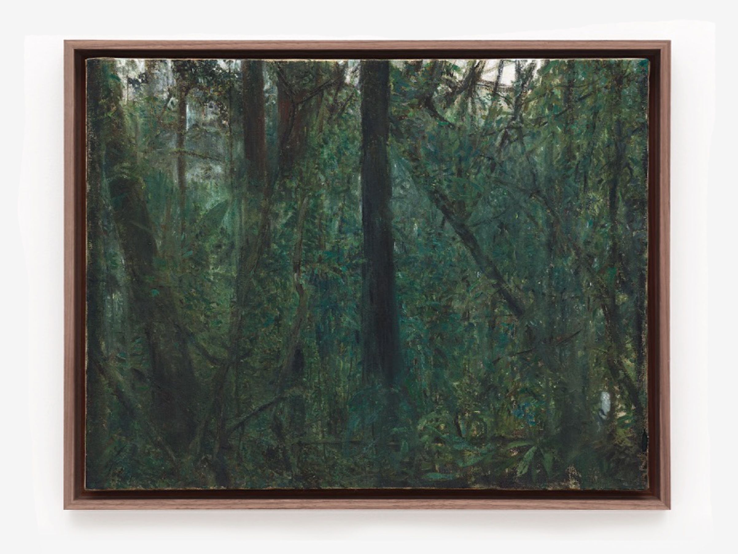 Artist Talk: On Biodiversity and Beta Diversity