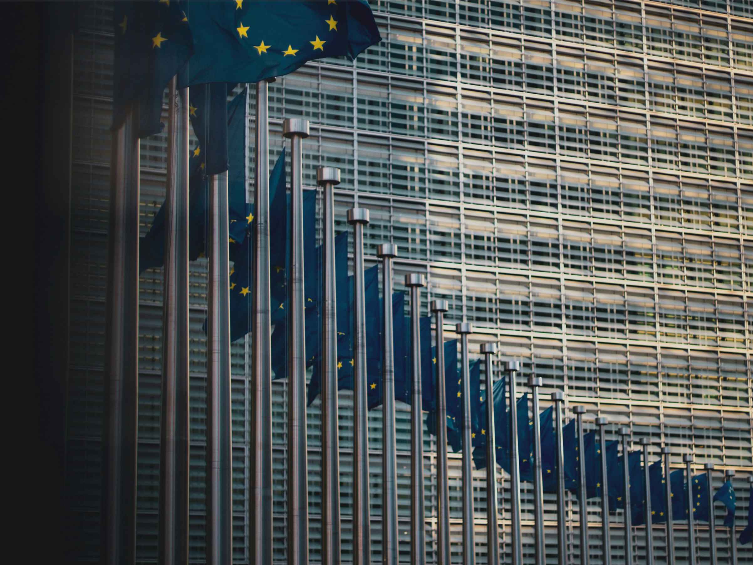 The US Presidential Election and Its Foreign Policy Implications for Germany & Europe