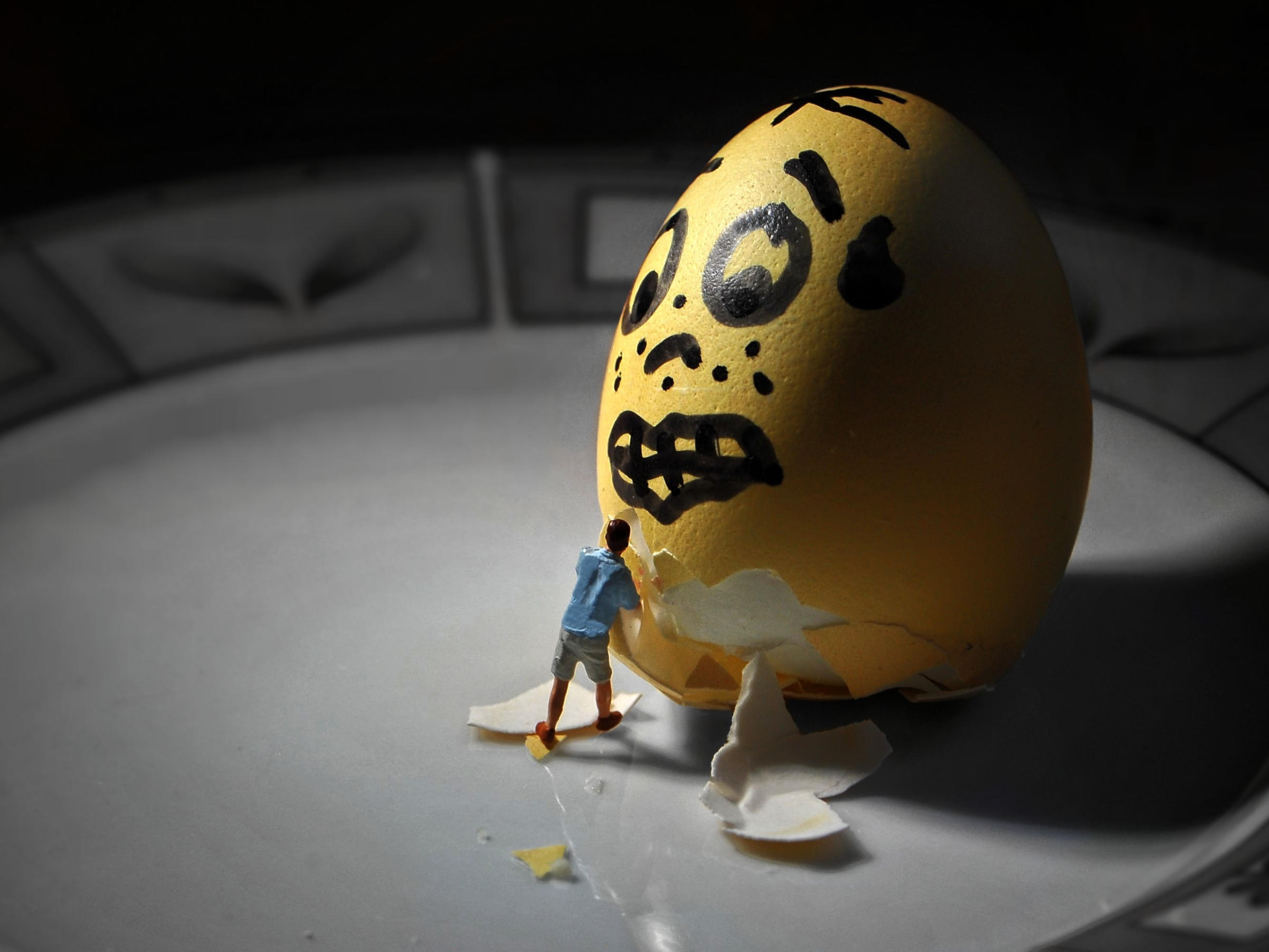 Learning from Folly: Can History Help?