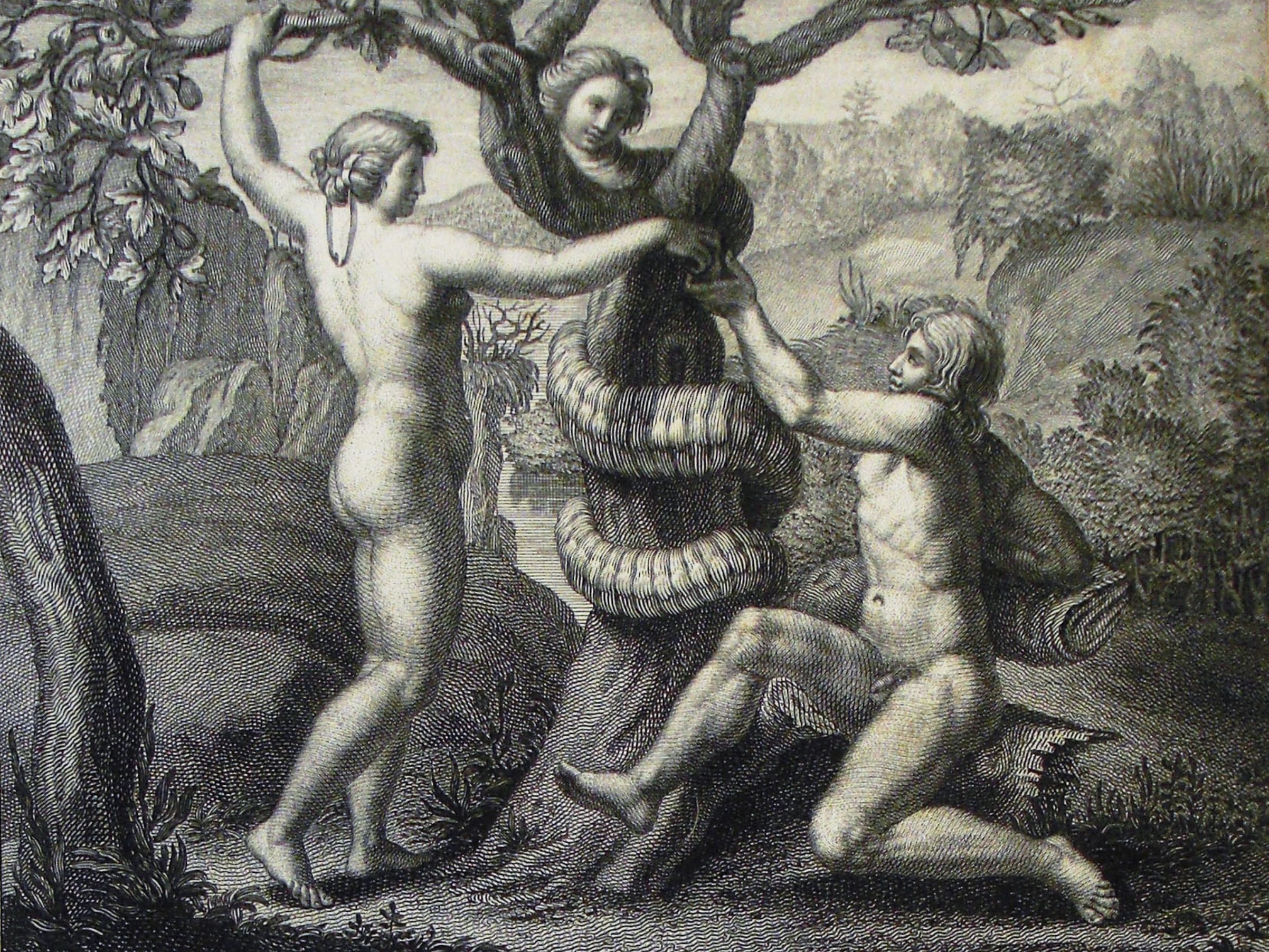 Traditional Jewish Literature and Trans Politics