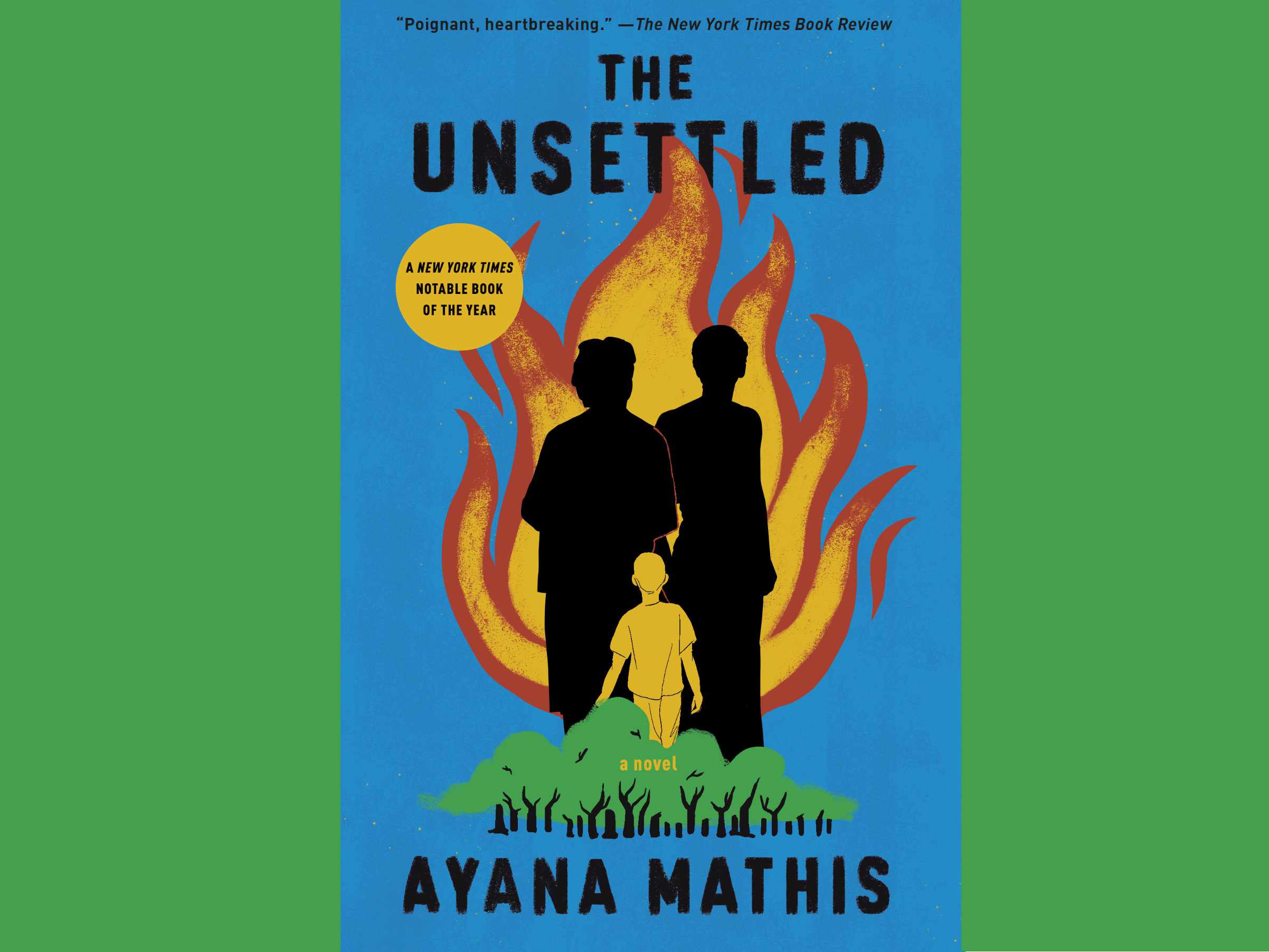The Unsettled: A Novel