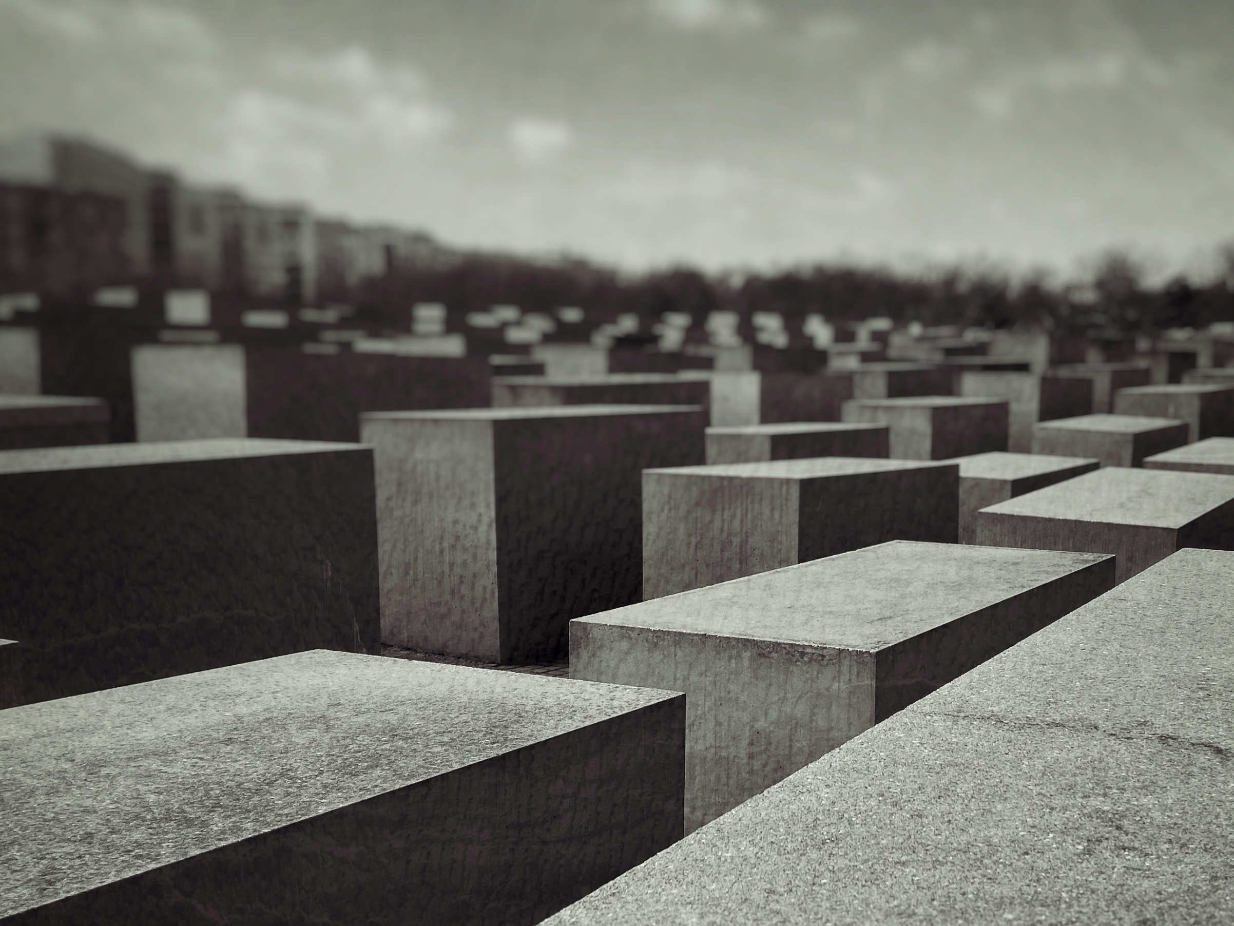 Migrationsgeschichte des Holocaust: Die Zukunft der Erinnerungskultur